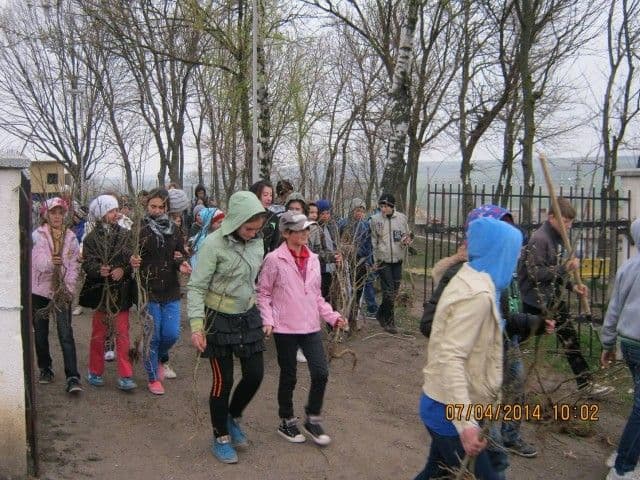 „Plantăm arbori pentru sănătate” – activitate școlară realizată la Școala Gimnazială nr.1 Dumeni