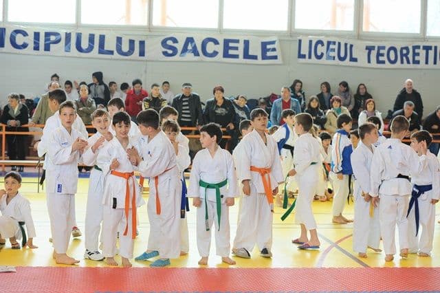 Clubul sportiv Black Tiger Dorohoi a participat la cupa Karate Tiger unde a obținut mai multe premii - FOTO