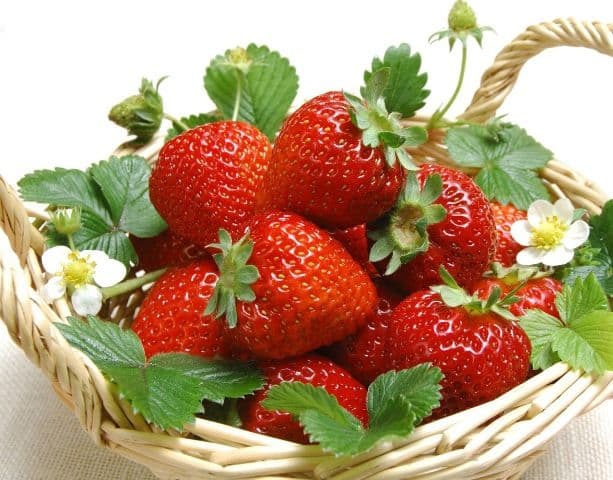 Beneficiile consumului de căpșuni pentru sănătate