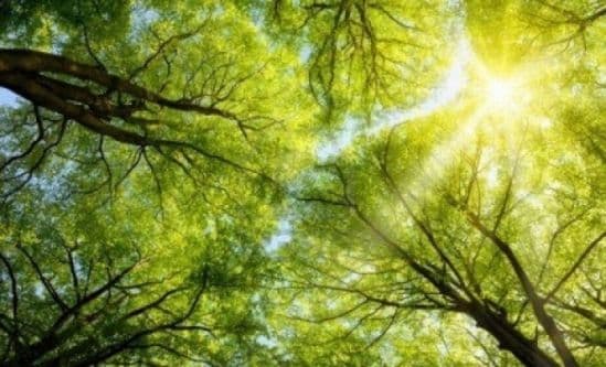 Prognoza meteo pe trei zile. Temperaturile scad în aproape toată ţara, începând de sâmbătă