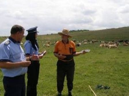 Campanie a poliţiştilor botoşăneni pentru prevenirea furturilor de animale în mediul rural