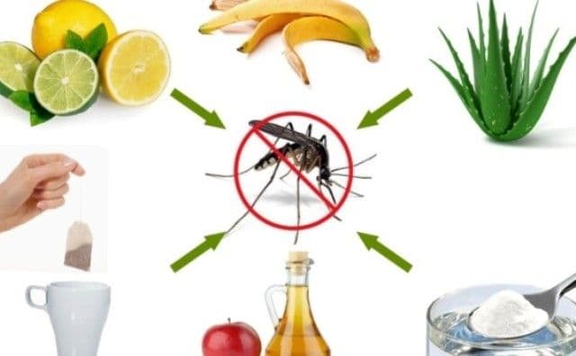 Soluţii naturale și eficiente pentru a scăpa de țânțari