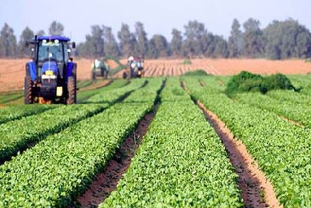 Judeţul Suceava, lider la agricultura ecologică de 7 ani