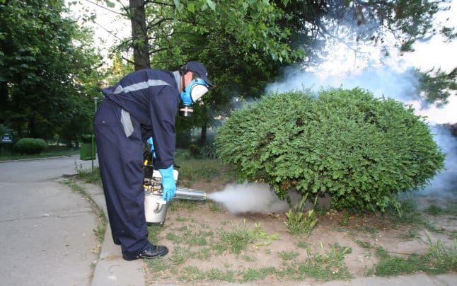 Isteria căpușelor. Câte poartă microbul care provoacă boala Lyme