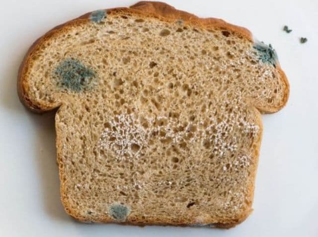 Atenție la pâinea mucegăită. Poţi să te îmbolnăveşti de Salmonella
