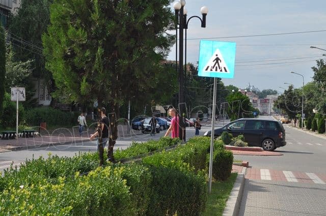 Șoferii pot răsufla ușurați: Copăceii de pe Bulevardul Victoriei din Dorohoi au fost toaletați - FOTO