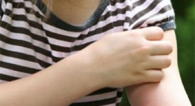 Sezonul insectelor. Ce boli transmit țânțarii și căpușele și cum le prevenim