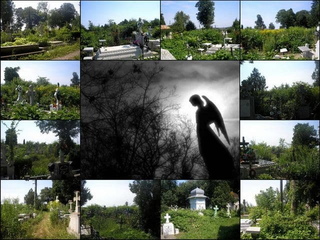 „Dormitoare” lăsate de izbelişte... - FOTO
