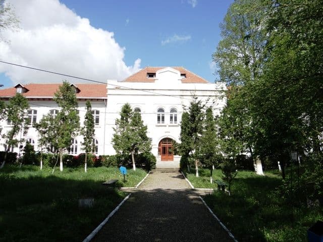 Liceul Tehnologic Alexandru Vlahuţă Şendriceni organizează admitere liceu etapa a III-a. Vezi oferta!