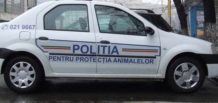 Poliţia animalelor, înfiinţată în cadrul ANSVSA, cu câte un inspector în fiecare judeţ