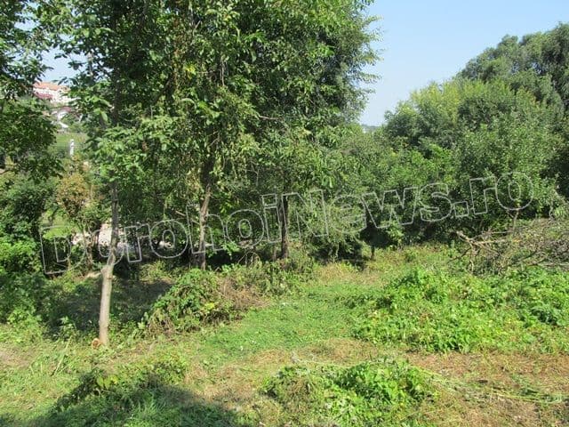 Parcul Cholet se extinde! Dorin Alexandrescu: „Va fi o zonă verde, de prelungire a parcului” - FOTO