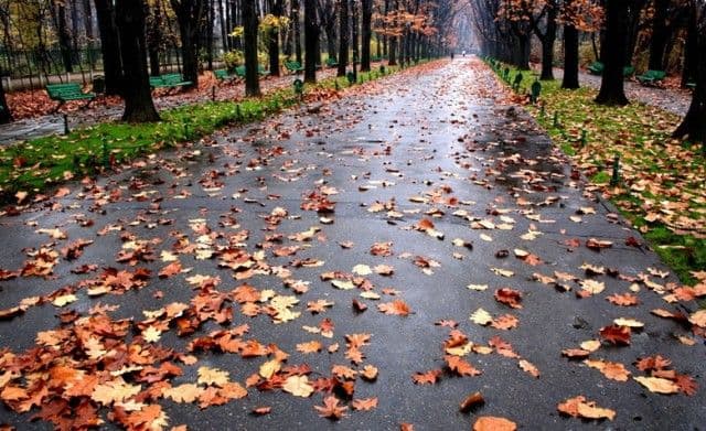 Val de frig în România. Temperaturile scad spre limita înghețului. Vreme de octombrie pe final de august