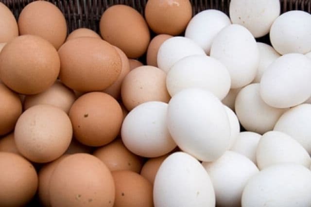 Ce diferenţă este între ouăle albe şi cele maronii? Explicaţia specialiştilor