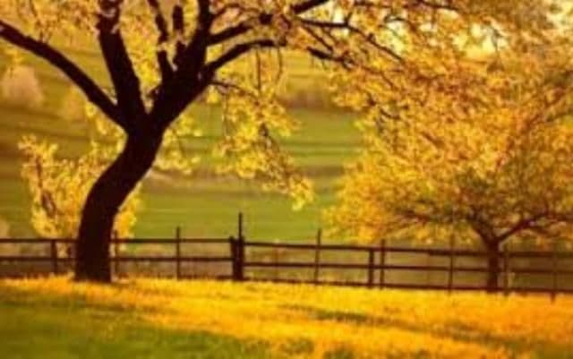 Prognoza meteo pe trei zile! Sigur vrei să afli dacă va mai fi cald