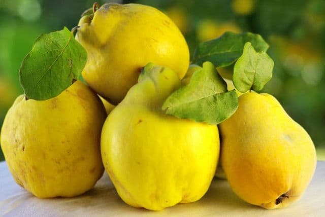 Gutuile, fructul-minune al toamnei