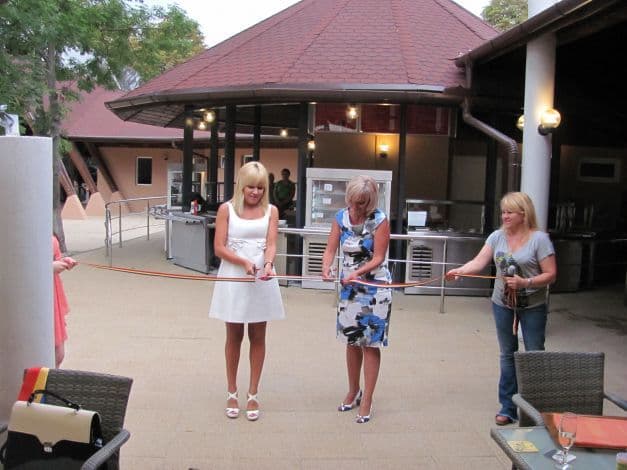 Cât a investit Elena Udrea în modernizarea Băilor Boghiş, unde deţine 50 la sută din staţiune