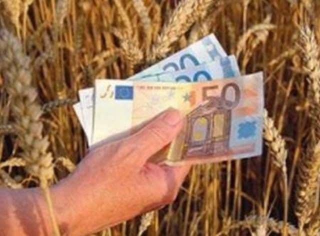 Fermierii care primesc subvenții mai mari de 5.000 de euro pe an vor trebui să se înregistreze ca PFA