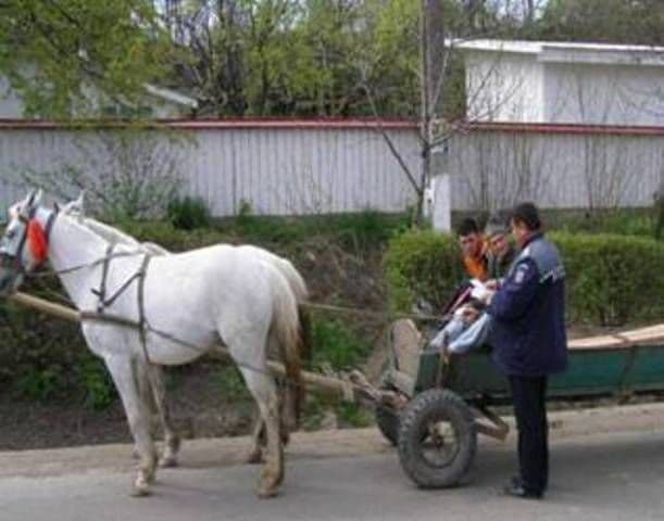 Poliția botoșăneană în campania „Săptămâna prevenirii criminalităţii”