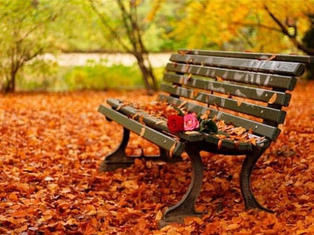 Toamna îşi intră serios în drepturi şi aduce temperaturi scăzute în zilele următoare