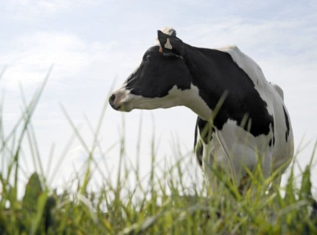 Lovitură pentru fermierii din România