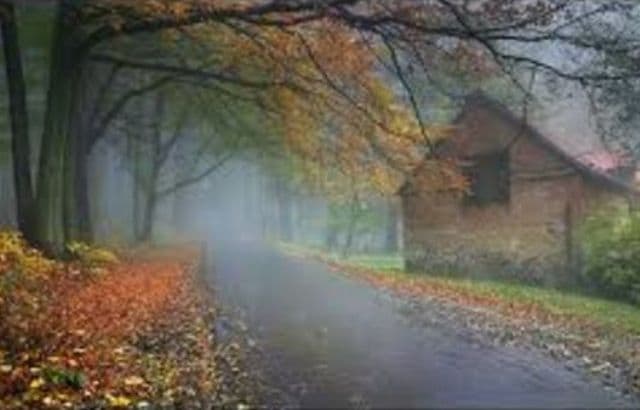 Vremea se răceşte în majoritatea regiunilor. Prognoza meteo pentru joi şi vineri