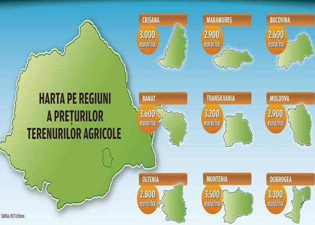 Prețul arendei la terenuri agricole oscilează între 500 și 1500 kg/ha. Unde se găsește cel mai scump și cel mai ieftin pământ din țară
