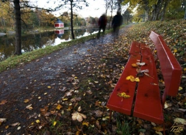 Cum va fi vremea in ziua alegerilor prezidentiale