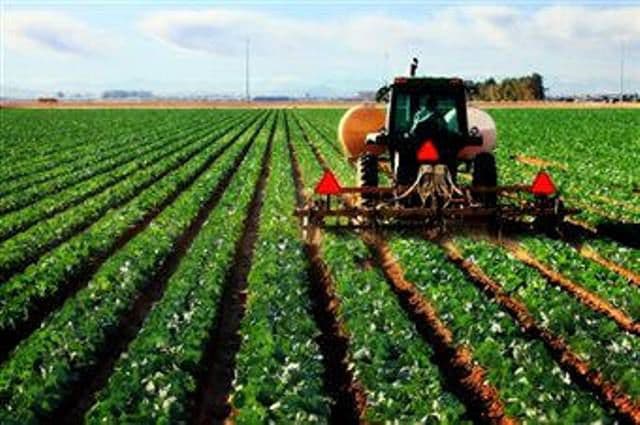 România va colabora în agricultură cu Egipt, Iordania şi Emiratele Arabe