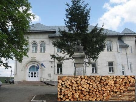 Liceul Teoretic „Anastasie Bașotă” organizează licitație de vînzare masă lemnoasă fasonată, specia gorun