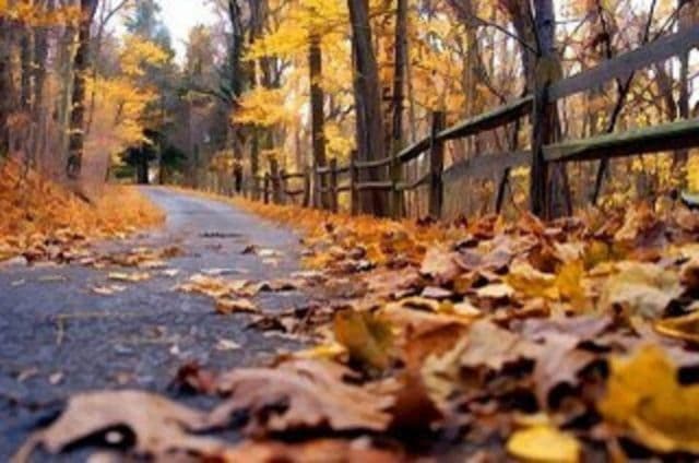 Cum va fi vremea de alegeri. Prognoza pentru toată țara