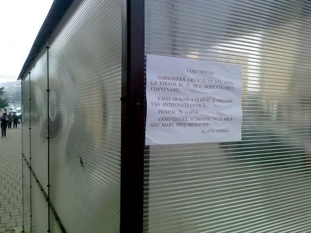 Dorohoi statii VIP (2)