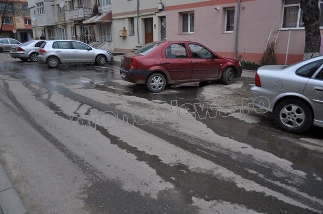 Dorohoi_Aleea Criva_14