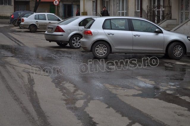 Dorohoi_Aleea Criva_15