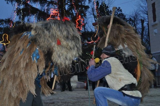 Parada Formatiilor de Datini si Obiceiuri 2013 Dorohoi_Banda Broscauti 2_15
