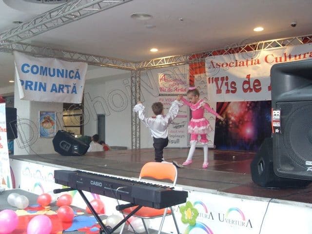 Asociatia culturală Vis de Artist011