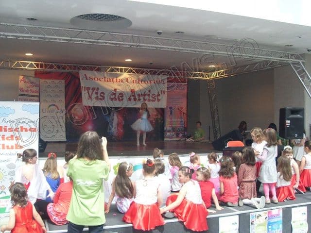 Asociatia culturală Vis de Artist013