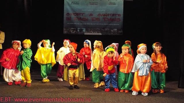 Festivalul concurs002