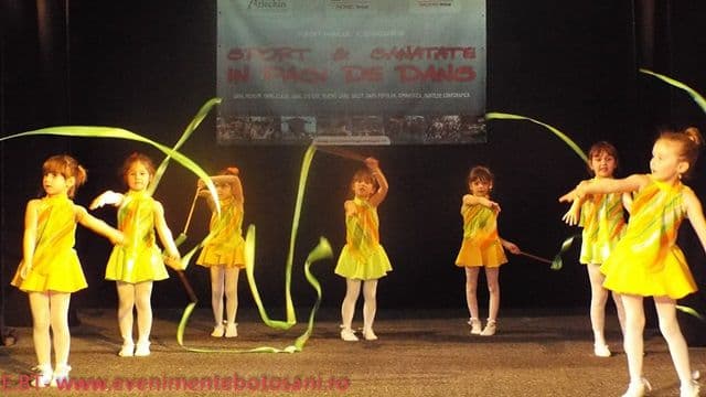 Festivalul concurs006