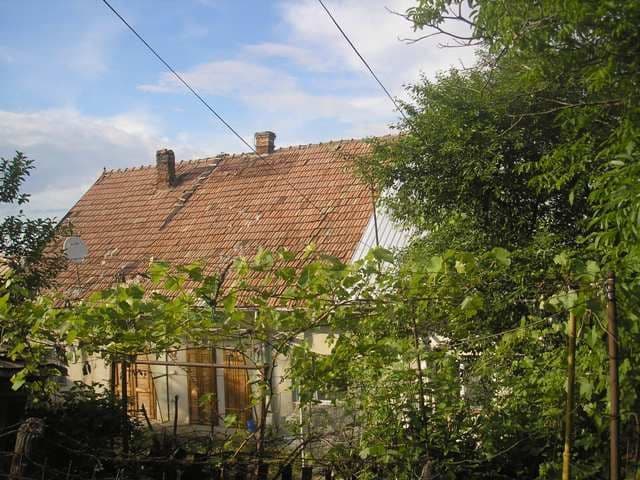 Dorohoi (4)