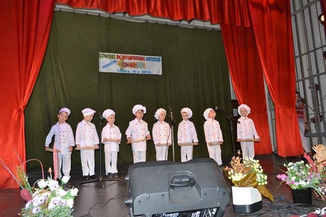 Concursul interjudetean de interpretare artistică DO-RE-MI – Dorohoi002