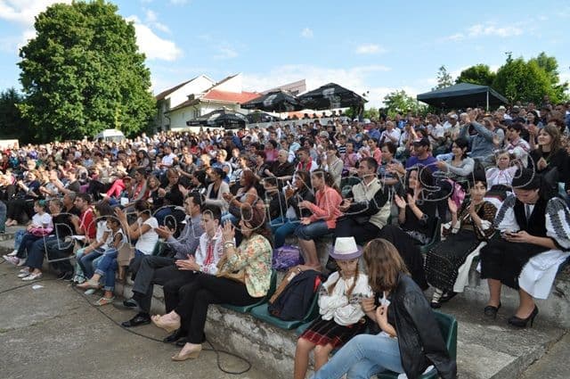 Festivalul Mugurelul 2014_Dorohoi_26