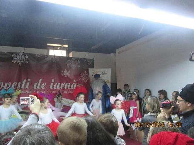 arlechin mos nicolae16