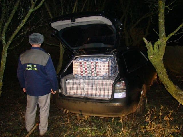 tigari de contrabanda Dersca_3