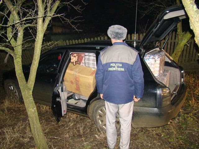 tigari de contrabanda Dersca_6
