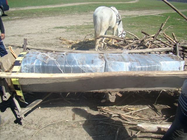Mii de pachete de ţigări de contrabandă ascunse în căruţă, sub vreascuri _2