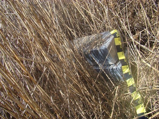 Mii de pachete de ţigări de contrabandă ascunse în căruţă, sub vreascuri _6