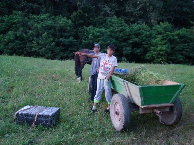 20.000 de ţigarete de contrabandă transportate cu căruţa _2