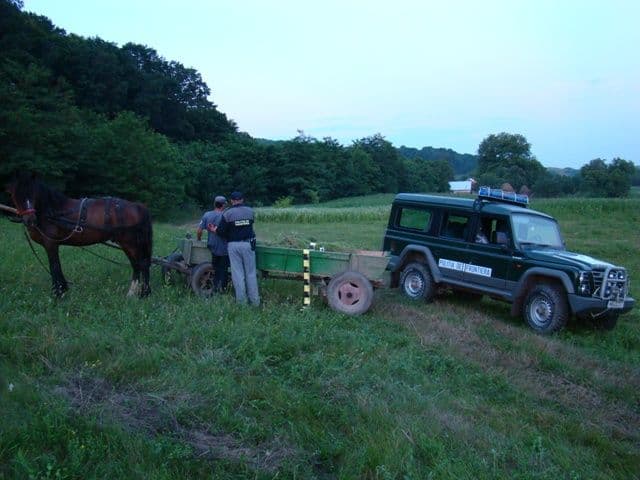 20.000 de ţigarete de contrabandă transportate cu căruţa _4