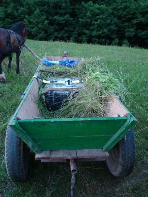 20.000 de ţigarete de contrabandă transportate cu căruţa _5