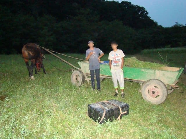 20.000 de ţigarete de contrabandă transportate cu căruţa _6